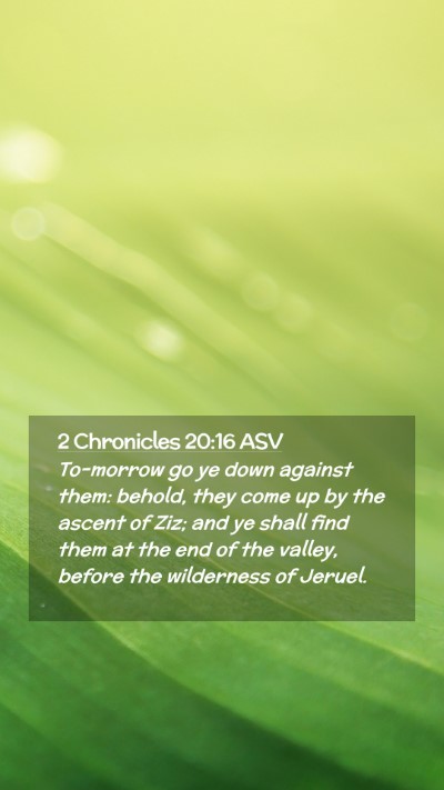 Picture 02 - 2 Chronicles 20:16 ASV Mobile Phone Wallpaper - To-morrow go ye down against them: behold, they - Mobile Bible Verse Wallpaper