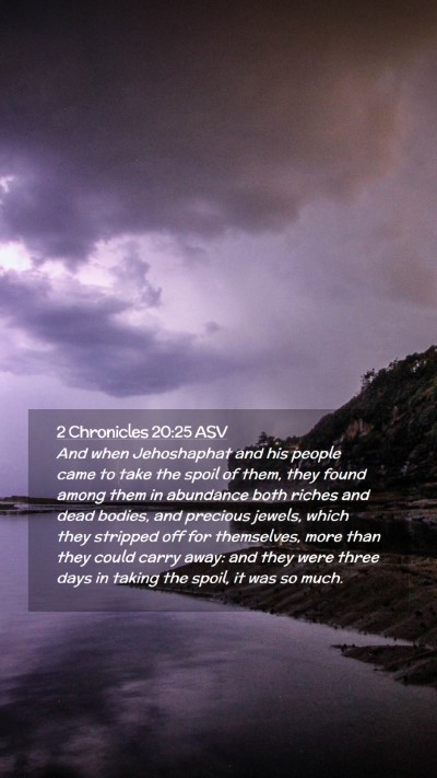 Picture 02 - 2 Chronicles 20:25 ASV Mobile Phone Wallpaper - And when Jehoshaphat and his people came to take - Mobile Bible Verse Wallpaper
