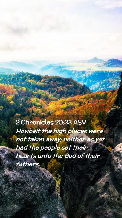 Picture 02 - 2 Chronicles 20:33 ASV Mobile Phone Wallpaper - Howbeit the high places were not taken away; - Mobile Bible Verse Wallpaper