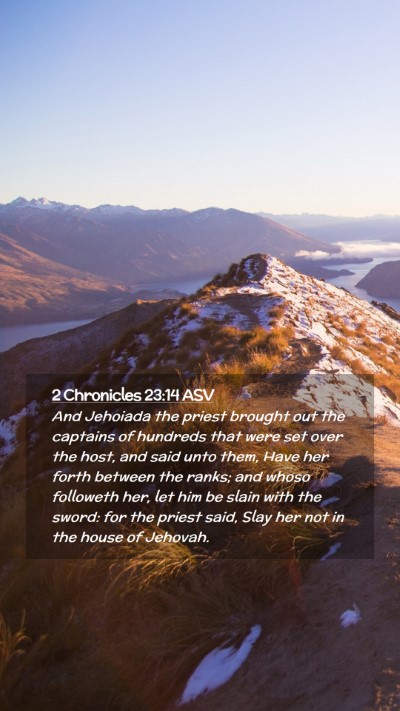 Picture 02 - 2 Chronicles 23:14 ASV Mobile Phone Wallpaper - And Jehoiada the priest brought out the captains - Mobile Bible Verse Wallpaper