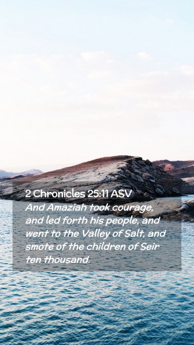 Picture 02 - 2 Chronicles 25:11 ASV Mobile Phone Wallpaper - And Amaziah took courage, and led forth his - Mobile Bible Verse Wallpaper