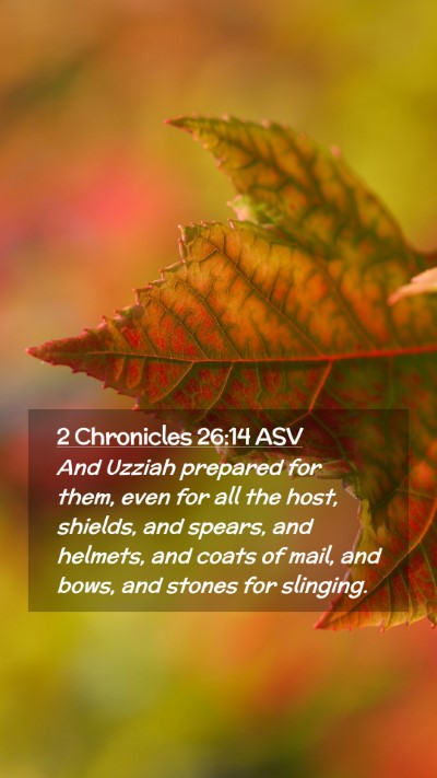 Picture 02 - 2 Chronicles 26:14 ASV Mobile Phone Wallpaper - And Uzziah prepared for them, even for all the - Mobile Bible Verse Wallpaper