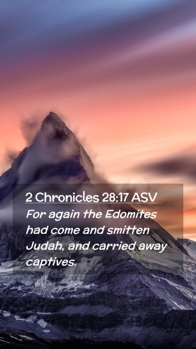 Picture 02 - 2 Chronicles 28:17 ASV Mobile Phone Wallpaper - For again the Edomites had come and smitten - Mobile Bible Verse Wallpaper