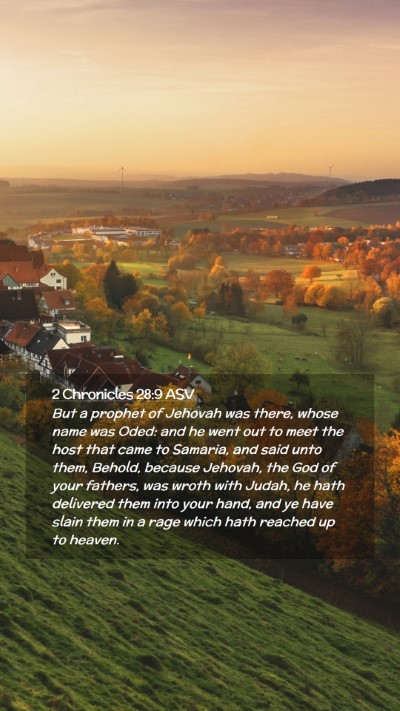 Picture 02 - 2 Chronicles 28:9 ASV Mobile Phone Wallpaper - But a prophet of Jehovah was there, whose name - Mobile Bible Verse Wallpaper
