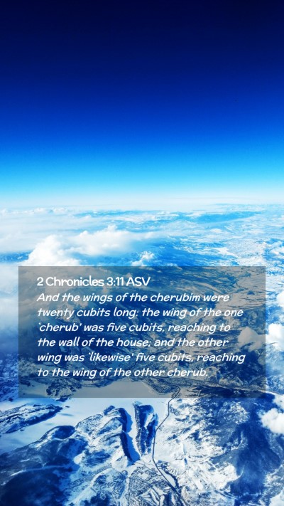 Picture 02 - 2 Chronicles 3:11 ASV Mobile Phone Wallpaper - And the wings of the cherubim were twenty cubits - Mobile Bible Verse Wallpaper