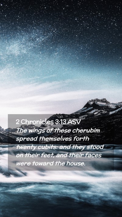 Picture 02 - 2 Chronicles 3:13 ASV Mobile Phone Wallpaper - The wings of these cherubim spread themselves - Mobile Bible Verse Wallpaper