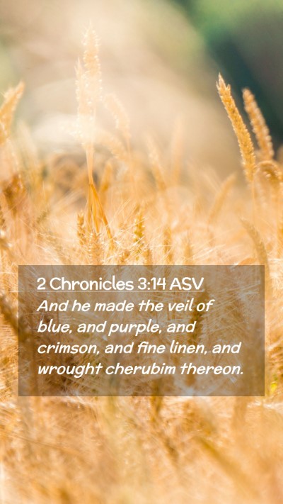 Picture 02 - 2 Chronicles 3:14 ASV Mobile Phone Wallpaper - And he made the veil of blue, and purple, and - Mobile Bible Verse Wallpaper