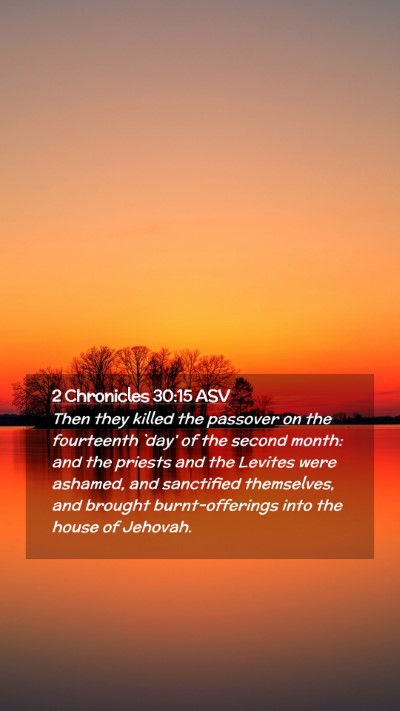 Picture 02 - 2 Chronicles 30:15 ASV Mobile Phone Wallpaper - Then they killed the passover on the fourteenth - Mobile Bible Verse Wallpaper