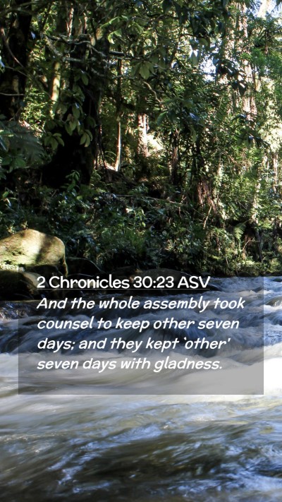 Picture 02 - 2 Chronicles 30:23 ASV Mobile Phone Wallpaper - And the whole assembly took counsel to keep other - Mobile Bible Verse Wallpaper