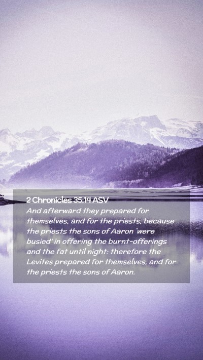 Picture 02 - 2 Chronicles 35:14 ASV Mobile Phone Wallpaper - And afterward they prepared for themselves, and - Mobile Bible Verse Wallpaper
