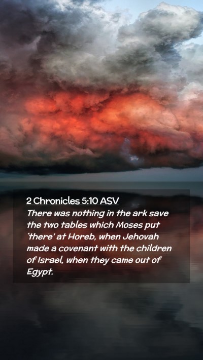 Picture 02 - 2 Chronicles 5:10 ASV Mobile Phone Wallpaper - There was nothing in the ark save the two tables - Mobile Bible Verse Wallpaper