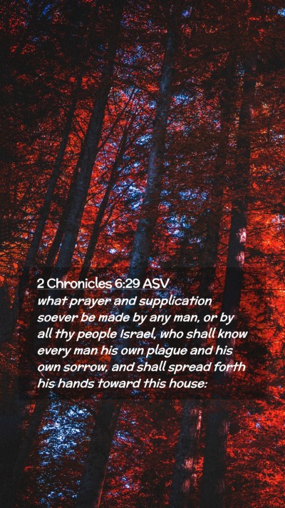 Picture 02 - 2 Chronicles 6:29 ASV Mobile Phone Wallpaper - what prayer and supplication soever be made by - Mobile Bible Verse Wallpaper