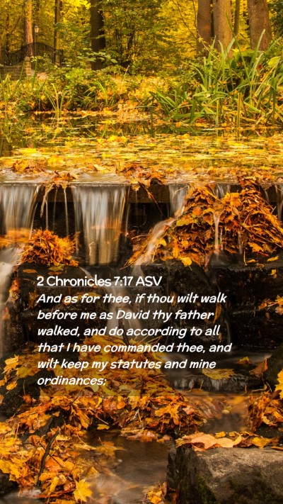 Picture 02 - 2 Chronicles 7:17 ASV Mobile Phone Wallpaper - And as for thee, if thou wilt walk before me as - Mobile Bible Verse Wallpaper