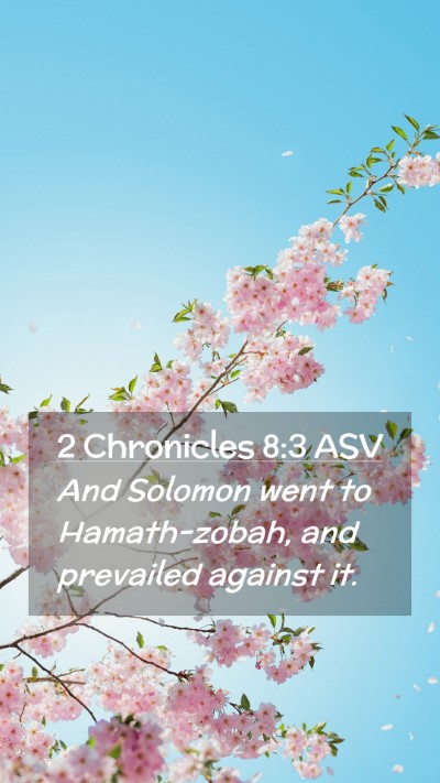 Picture 02 - 2 Chronicles 8:3 ASV Mobile Phone Wallpaper - And Solomon went to Hamath-zobah, and prevailed - Mobile Bible Verse Wallpaper