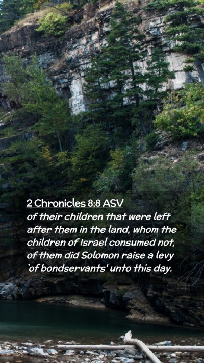 Picture 02 - 2 Chronicles 8:8 ASV Mobile Phone Wallpaper - of their children that were left after them in - Mobile Bible Verse Wallpaper