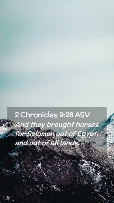 Picture 02 - 2 Chronicles 9:28 ASV Mobile Phone Wallpaper - And they brought horses for Solomon out of Egypt, - Mobile Bible Verse Wallpaper
