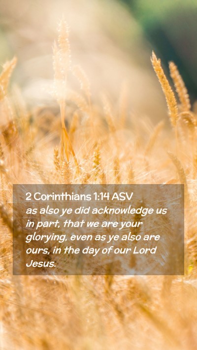 Picture 02 - 2 Corinthians 1:14 ASV Mobile Phone Wallpaper - as also ye did acknowledge us in part, that we - Mobile Bible Verse Wallpaper