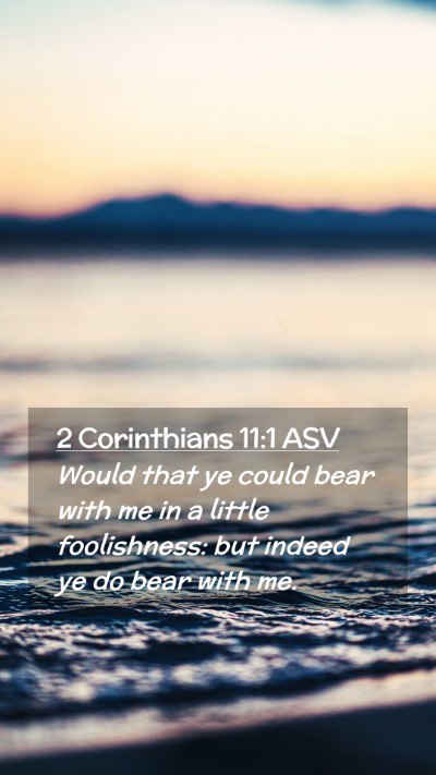 Picture 02 - 2 Corinthians 11:1 ASV Mobile Phone Wallpaper - Would that ye could bear with me in a little - Mobile Bible Verse Wallpaper