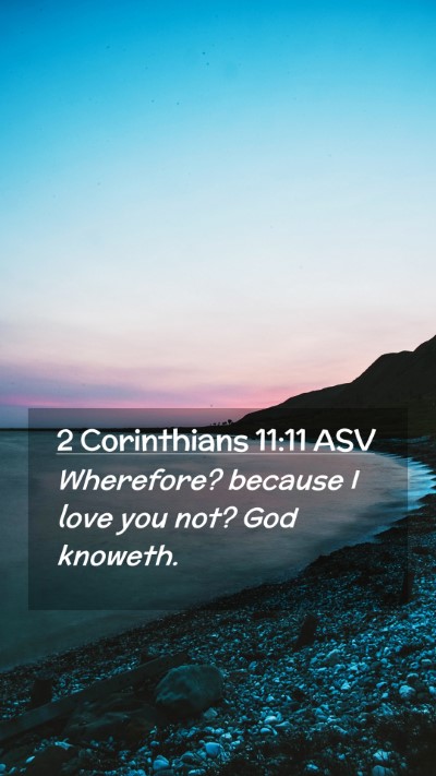 Picture 02 - 2 Corinthians 11:11 ASV Mobile Phone Wallpaper - Wherefore? because I love you not? God - Mobile Bible Verse Wallpaper