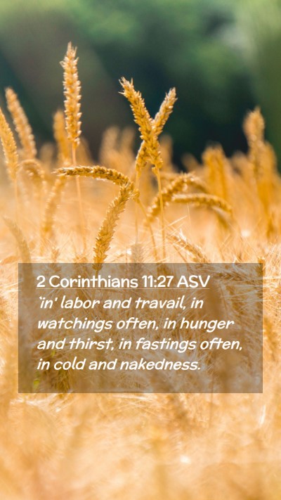 Picture 02 - 2 Corinthians 11:27 ASV Mobile Phone Wallpaper - `in' labor and travail, in watchings often, in - Mobile Bible Verse Wallpaper