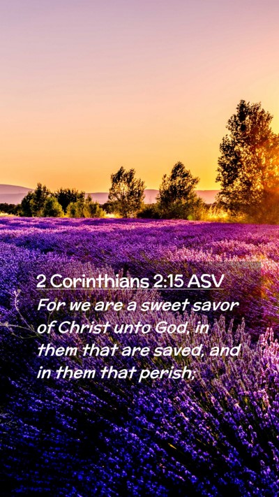 Picture 02 - 2 Corinthians 2:15 ASV Mobile Phone Wallpaper - For we are a sweet savor of Christ unto God, in - Mobile Bible Verse Wallpaper