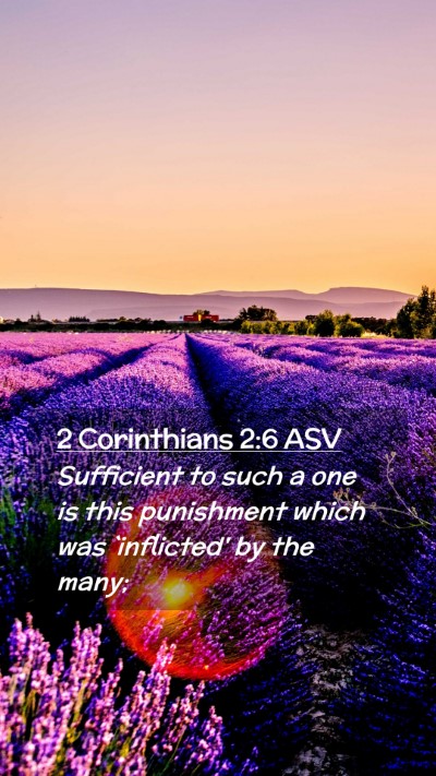 Picture 02 - 2 Corinthians 2:6 ASV Mobile Phone Wallpaper - Sufficient to such a one is this punishment which - Mobile Bible Verse Wallpaper