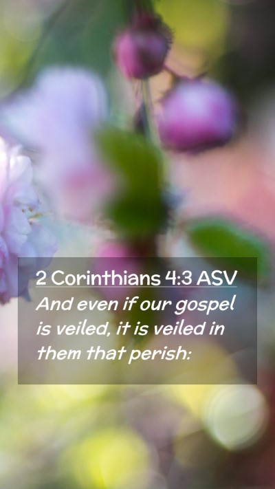 Picture 02 - 2 Corinthians 4:3 ASV Mobile Phone Wallpaper - And even if our gospel is veiled, it is veiled in - Mobile Bible Verse Wallpaper