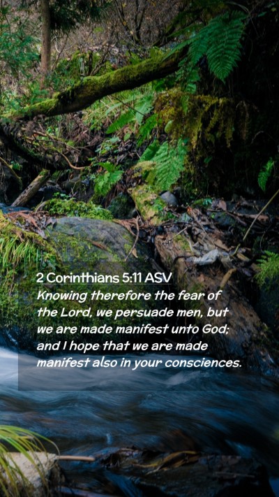 Picture 02 - 2 Corinthians 5:11 ASV Mobile Phone Wallpaper - Knowing therefore the fear of the Lord, we - Mobile Bible Verse Wallpaper