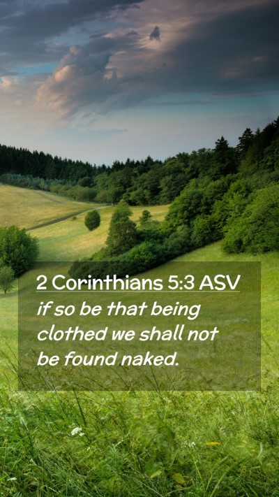 Picture 02 - 2 Corinthians 5:3 ASV Mobile Phone Wallpaper - if so be that being clothed we shall not be found - Mobile Bible Verse Wallpaper