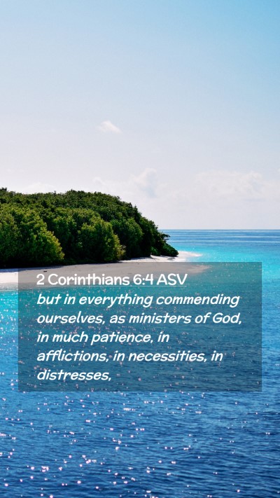 Picture 02 - 2 Corinthians 6:4 ASV Mobile Phone Wallpaper - but in everything commending ourselves, as - Mobile Bible Verse Wallpaper