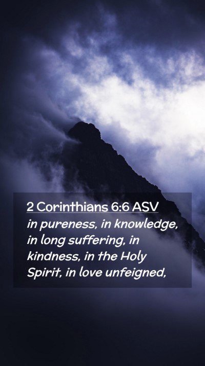 Picture 02 - 2 Corinthians 6:6 ASV Mobile Phone Wallpaper - in pureness, in knowledge, in long suffering, in - Mobile Bible Verse Wallpaper