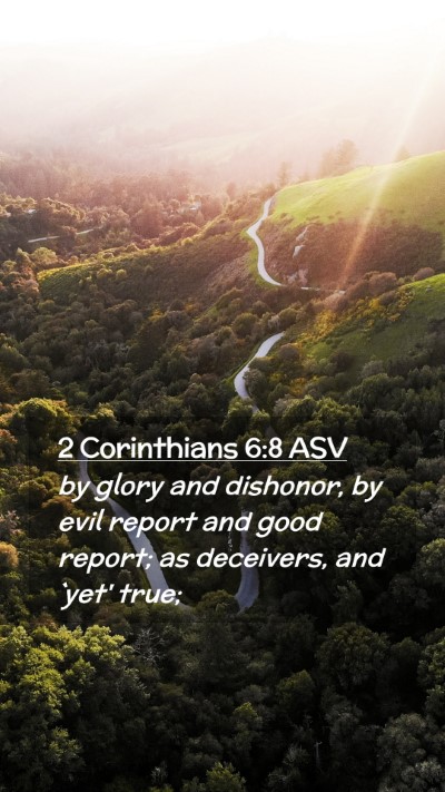 Picture 02 - 2 Corinthians 6:8 ASV Mobile Phone Wallpaper - by glory and dishonor, by evil report and good - Mobile Bible Verse Wallpaper