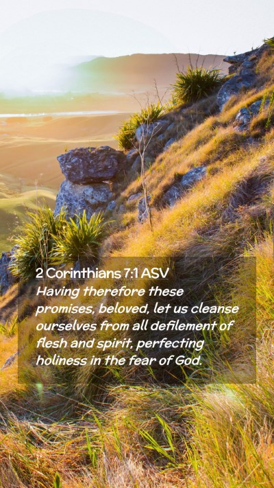 Picture 02 - 2 Corinthians 7:1 ASV Mobile Phone Wallpaper - Having therefore these promises, beloved, let us - Mobile Bible Verse Wallpaper