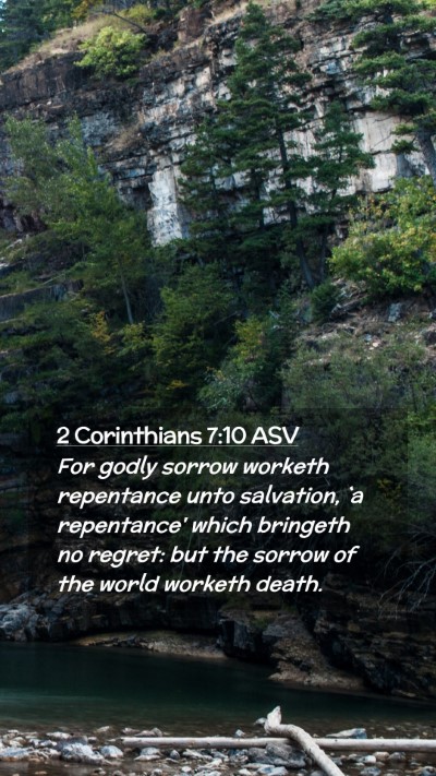 Picture 02 - 2 Corinthians 7:10 ASV Mobile Phone Wallpaper - For godly sorrow worketh repentance unto - Mobile Bible Verse Wallpaper