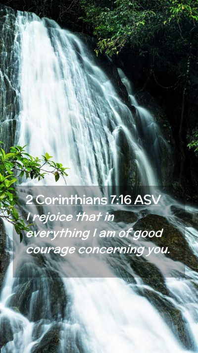Picture 02 - 2 Corinthians 7:16 ASV Mobile Phone Wallpaper - I rejoice that in everything I am of good courage - Mobile Bible Verse Wallpaper
