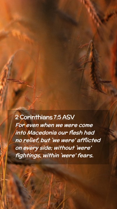 Picture 02 - 2 Corinthians 7:5 ASV Mobile Phone Wallpaper - For even when we were come into Macedonia our - Mobile Bible Verse Wallpaper