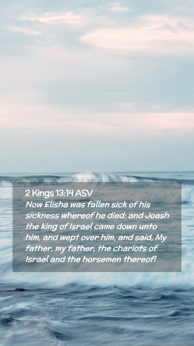 Picture 02 - 2 Kings 13:14 ASV Mobile Phone Wallpaper - Now Elisha was fallen sick of his sickness - Mobile Bible Verse Wallpaper