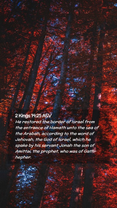 Picture 02 - 2 Kings 14:25 ASV Mobile Phone Wallpaper - He restored the border of Israel from the - Mobile Bible Verse Wallpaper