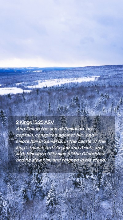 Picture 02 - 2 Kings 15:25 ASV Mobile Phone Wallpaper - And Pekah the son of Remaliah, his captain, - Mobile Bible Verse Wallpaper