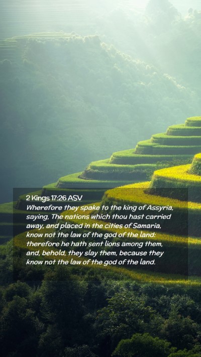 Picture 02 - 2 Kings 17:26 ASV Mobile Phone Wallpaper - Wherefore they spake to the king of Assyria, - Mobile Bible Verse Wallpaper