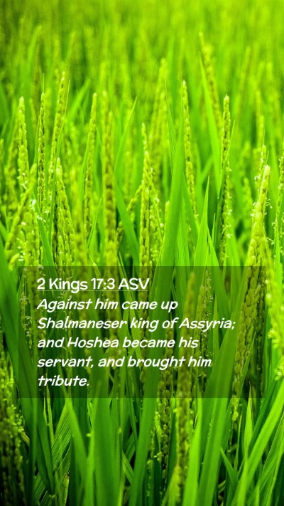 Picture 02 - 2 Kings 17:3 ASV Mobile Phone Wallpaper - Against him came up Shalmaneser king of Assyria; - Mobile Bible Verse Wallpaper