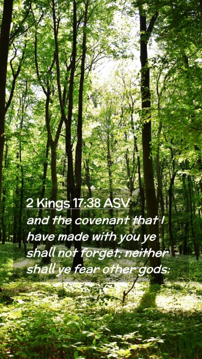 Picture 02 - 2 Kings 17:38 ASV Mobile Phone Wallpaper - and the covenant that I have made with you ye - Mobile Bible Verse Wallpaper