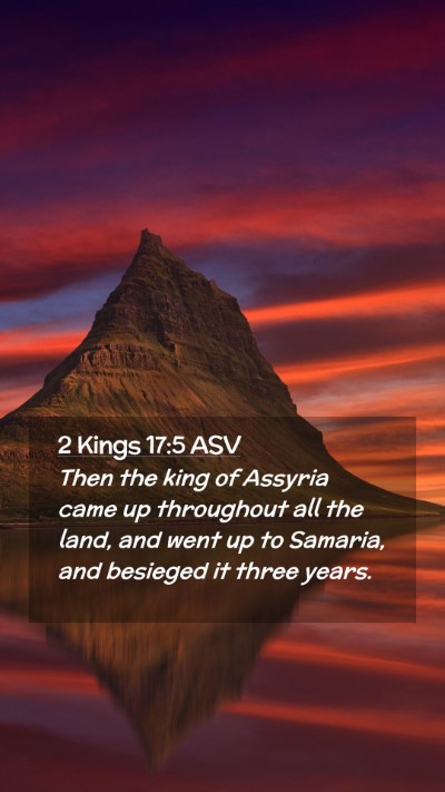 Picture 02 - 2 Kings 17:5 ASV Mobile Phone Wallpaper - Then the king of Assyria came up throughout all - Mobile Bible Verse Wallpaper