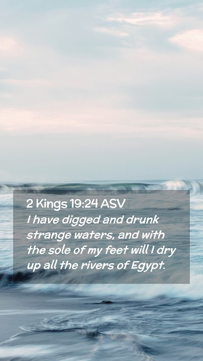 Picture 02 - 2 Kings 19:24 ASV Mobile Phone Wallpaper - I have digged and drunk strange waters, and with - Mobile Bible Verse Wallpaper