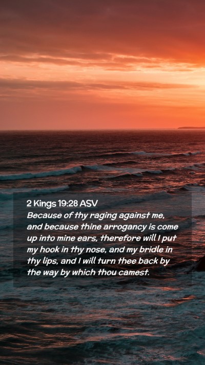 Picture 02 - 2 Kings 19:28 ASV Mobile Phone Wallpaper - Because of thy raging against me, and because - Mobile Bible Verse Wallpaper