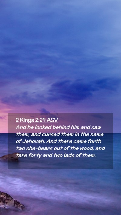 Picture 02 - 2 Kings 2:24 ASV Mobile Phone Wallpaper - And he looked behind him and saw them, and cursed - Mobile Bible Verse Wallpaper