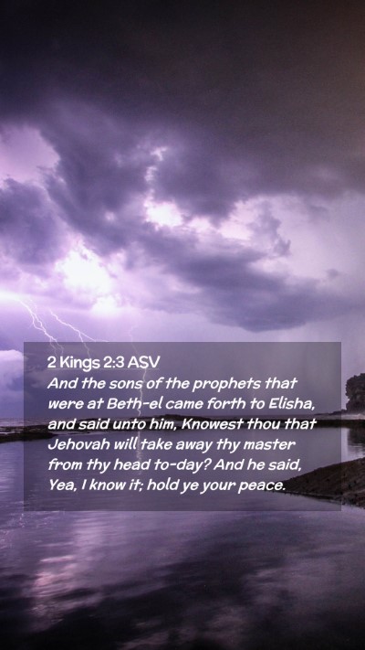 Picture 02 - 2 Kings 2:3 ASV Mobile Phone Wallpaper - And the sons of the prophets that were at Beth-el - Mobile Bible Verse Wallpaper