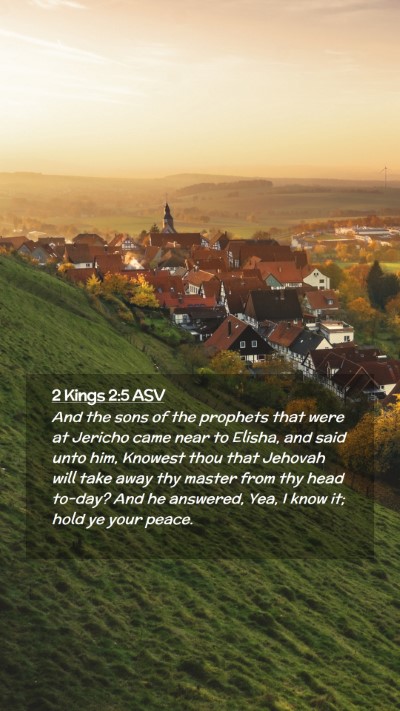 Picture 02 - 2 Kings 2:5 ASV Mobile Phone Wallpaper - And the sons of the prophets that were at Jericho - Mobile Bible Verse Wallpaper