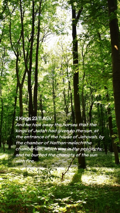 Picture 02 - 2 Kings 23:11 ASV Mobile Phone Wallpaper - And he took away the horses that the kings of - Mobile Bible Verse Wallpaper
