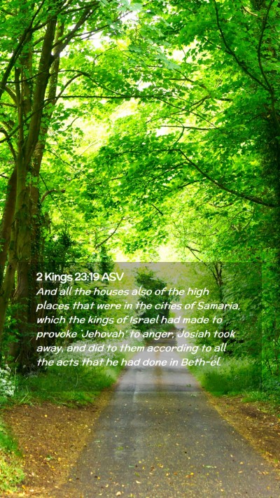 Picture 02 - 2 Kings 23:19 ASV Mobile Phone Wallpaper - And all the houses also of the high places that - Mobile Bible Verse Wallpaper
